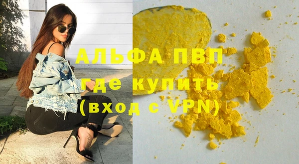 сатива Абинск