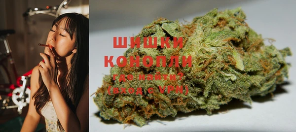 сатива Абинск