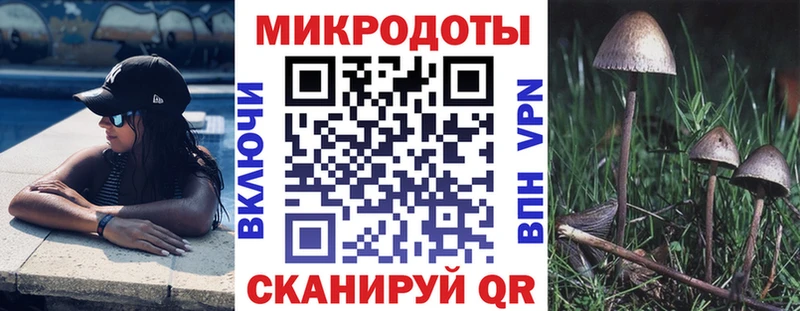 Псилоцибиновые грибы GOLDEN TEACHER  Кириллов 