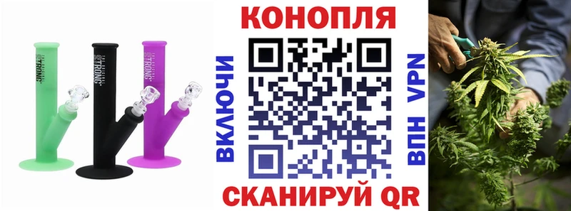 как найти   Кириллов  Бошки марихуана сатива 
